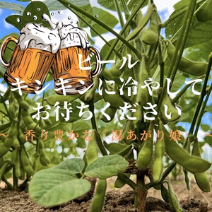 香り豊かな枝付き茶豆【湯あがり娘】