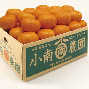 早生品種!段々畑の有田みかん3kg(約26～30個)★11月中旬発送予定