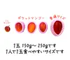 【希少】沖縄県産 燦々マンゴー『ポケットマンゴー』６玉入り