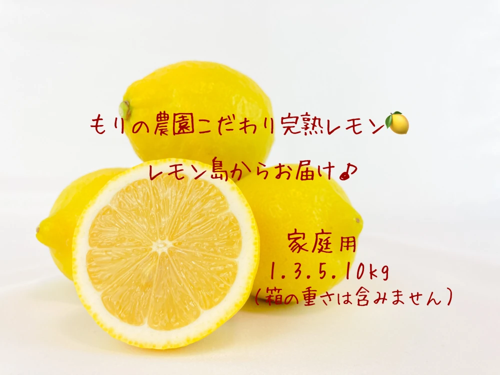 【生産量第1位】こだわり安心完熟レモン家庭用◎ワックス防腐剤不使用