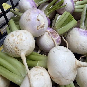 訳あり品❗️新鮮サラダカブお徳用❗️