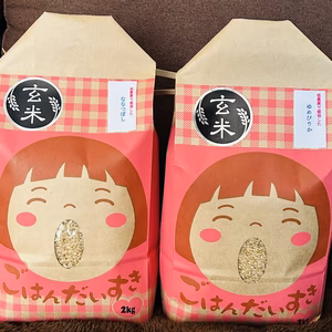 令7年米《一等米》食べ比べ・安心の低農薬【ななつぼし】【ゆめぴりか】各2kg玄米