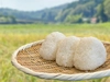 【農薬・化学肥料不使用】令和2年産-加賀のコシヒカリ白米5㎏