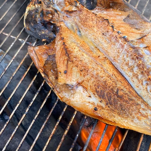 王道がうまい！鯵(アジ)の開き！中小サイズ1