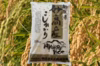【10kg商品登場】令和6年　妙高産コシヒカリ10kg