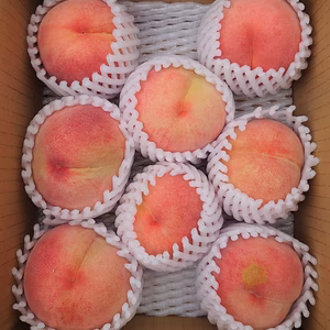 桃 なつっこ 【家庭用】約２Ｋ 