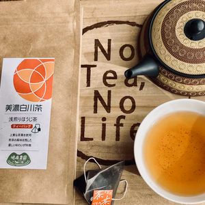 　白川茶浅煎りほうじ茶ティーバッグ　