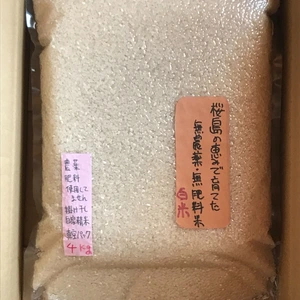自然栽培米セット、白米8kg玄米1kg