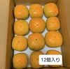 和歌山県産　種無し柿　　　(刀根早生)　A-B品　M～Lサイズ　8個～12個入り