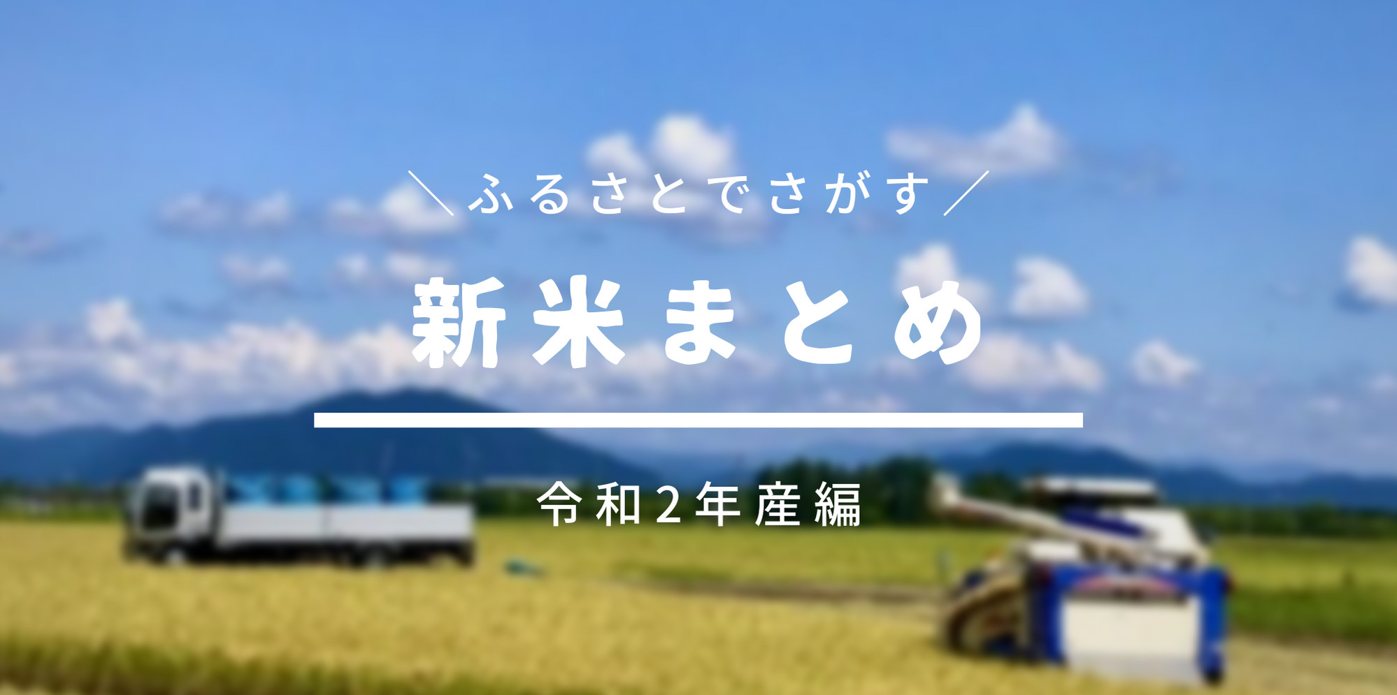 令和元年度・新米❗️岩手県花巻産減農薬ひとめぼれ24kg（玄米） - 米/穀物