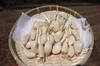 ☆丸ごと食べる☆3袋セット☆スプラウトニンニク☆
