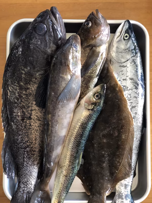 みんなの投稿の画像