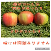 【送料無料】青森県産☆紅玉☆約10キロ