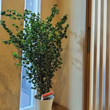 小栗三華 | 小栗農園