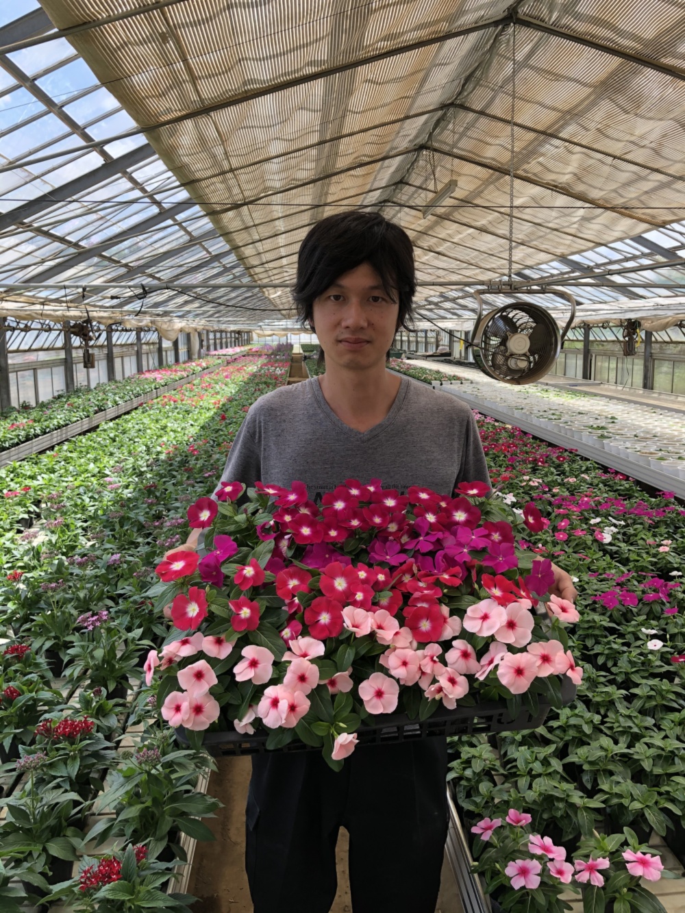 長谷部園芸 長谷部功来さんへのみんなの投稿 農家漁師から産地直送の通販 ポケットマルシェ