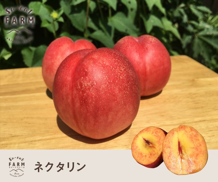 ネクタリンの通販・お取り寄せ商品｜果物｜ポケットマルシェ｜産地直送