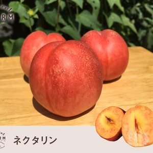 ネクタリン　加工用　4キロ