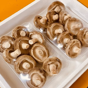 朝採り♪生しいたけ　500g  菌床椎茸