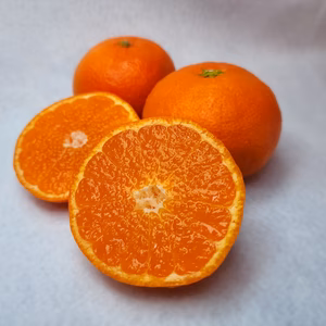幻の完熟紅みかん　味濃厚な逸品　