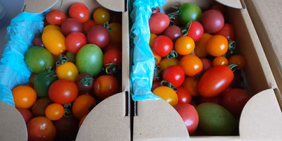 みんなの投稿の画像