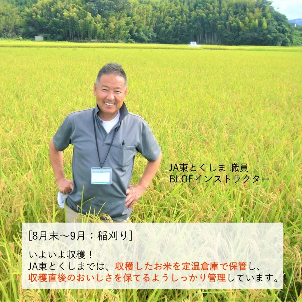 新米《栽培期間中農薬不使用米・白米》あいさい一楽米　令和5年産徳島県産コシヒカリ