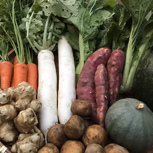 【見た目で勝負！でないお料理専用】月2便　野趣溢れるB級野菜詰合せ