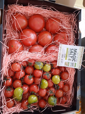 みんなの投稿の画像