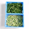 【常温便】緑オクラと白オクラ ２種セット