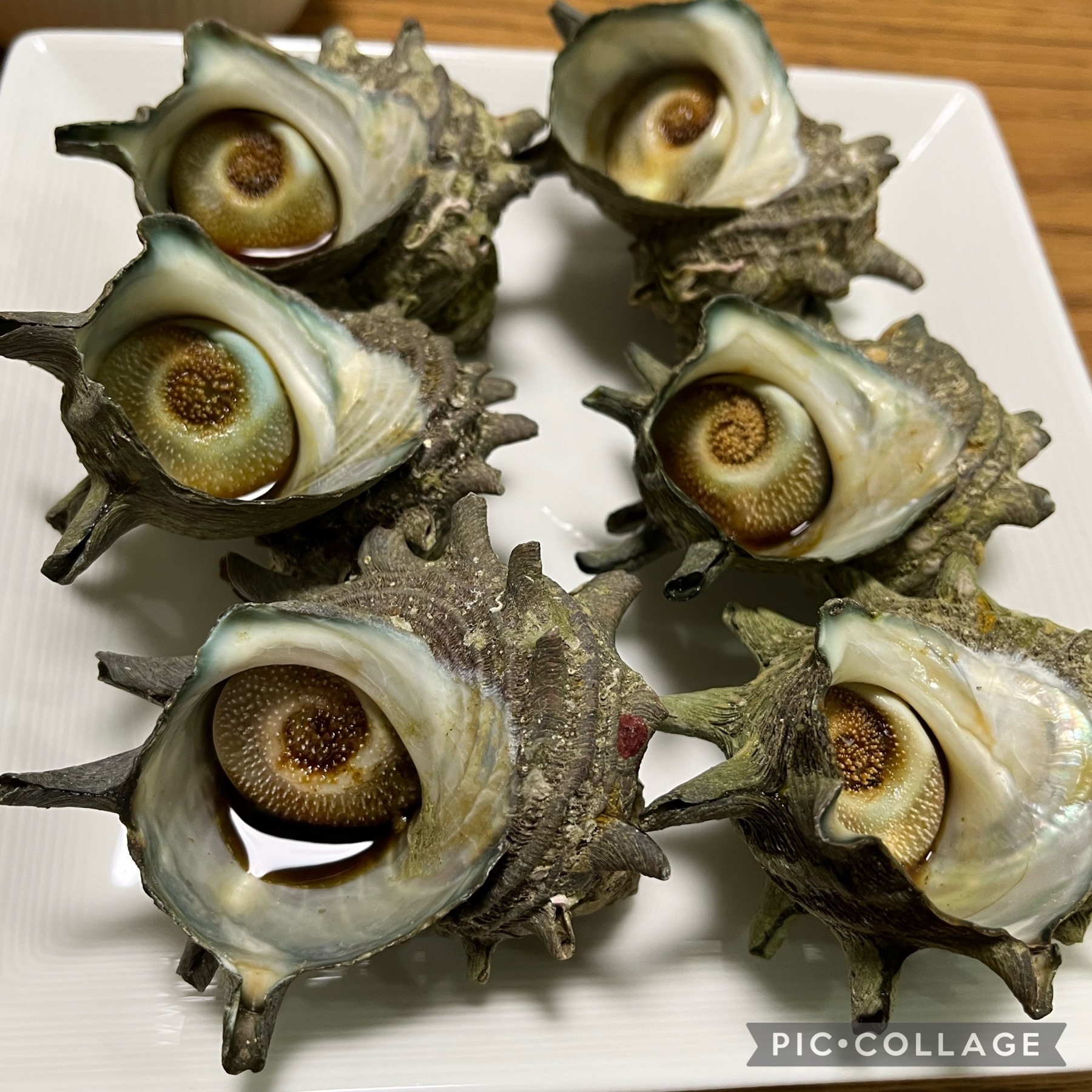 超激安特価 ご飯茶碗 紫の花 東玉 訳あり Discoversvg Com