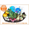 季節のおまかせ野菜＆ランチバッグ・手拭いセット（季節により内容が異なります）