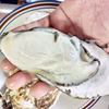 10％OFF中 生牡蠣 生食用 牡蠣２kg~13kg 殻付き 牡蠣 殻付き牡蠣