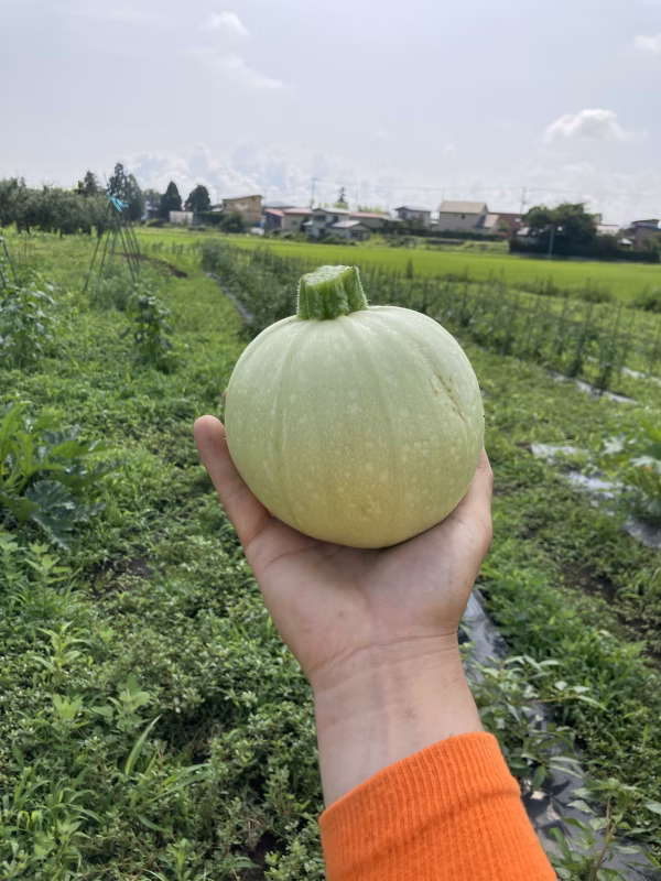 ウチのカミさんが言うにはね…