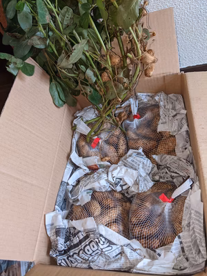 みんなの投稿の画像