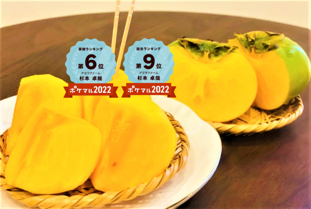 和歌山県産　美味しい　たねなし柿　5kg 硬め　25
