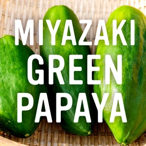 酵素の王様青パパイアが今年も登場！〜MIYAZAKI Green Papaya