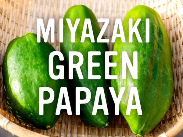 酵素の王様青パパイアが今年も登場！〜MIYAZAKI Green Papaya