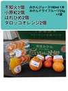 スピード発送9箱】春柑橘スペシャル特別セット5kg分
