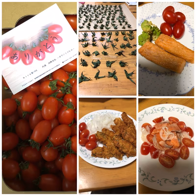 みんなの投稿の画像