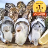 生牡蠣 殻付きと剥き身のセット３種類 むき身 松島牡蠣屋 むき身