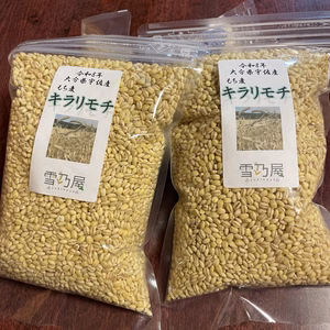 モチプチ食感　もち麦「キラリモチ」