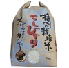 新潟県産　スーパーコシヒカリ   5kg  (玄米) 令和4年産