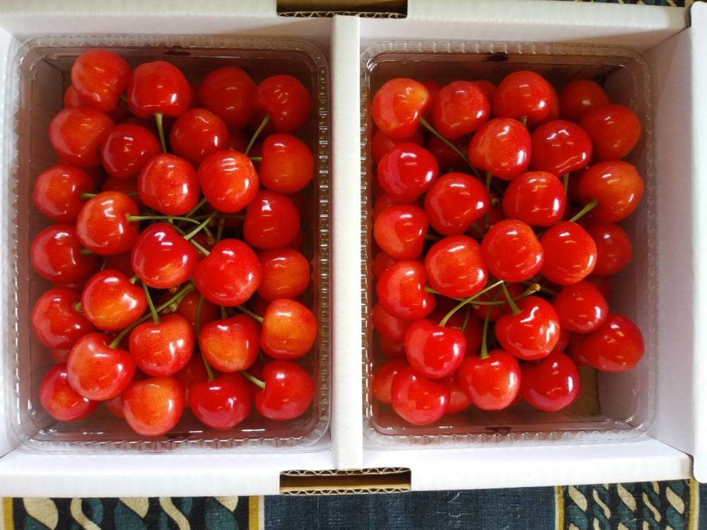 山形県天童市｜小座間果樹園｜小座間助吉さんの生産者プロフィール