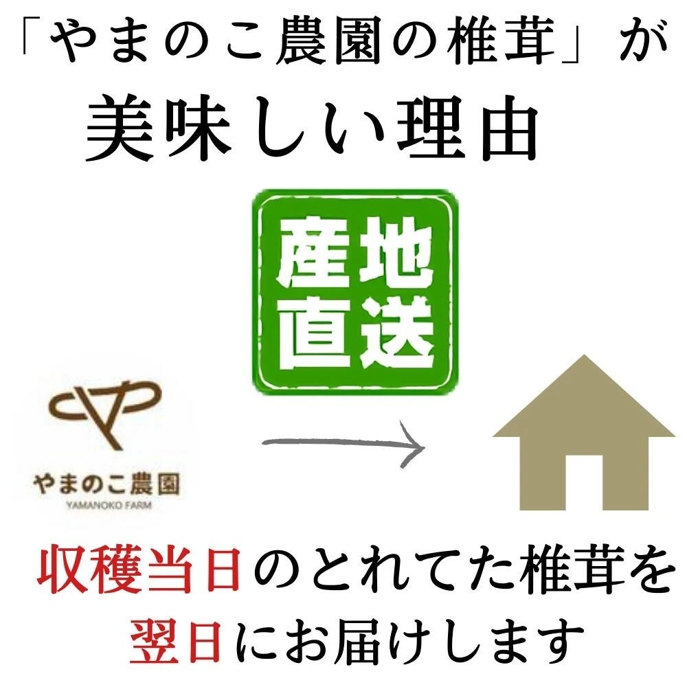 クール便発送　徳島県産　小中サイズ椎茸1キロ 