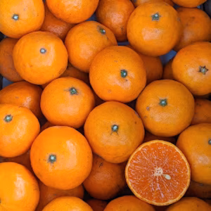 農家直送！なつみオレンジ　秀品3kg〜【平武農園】和歌山｜有田｜田口｜こだわり