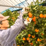 小形敬一 | ハーブ&フルーツおがた