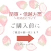 2箱セット複数割【クール】【大粒】いちご