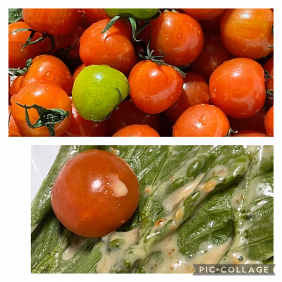 みんなの投稿の画像