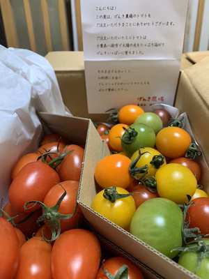 みんなの投稿の画像