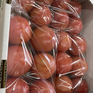 SALE！春トマト【まるでフルーツ】旨味が詰まった小ぶりな桃太郎♡食べたらトリコ