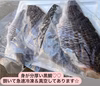 【冷凍】黒鯛　☆スペシャル特典付き☆